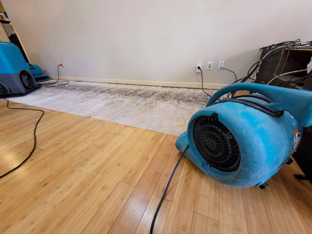 Professional Sewage Cleanup technician working in Sun Valley, CA